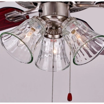 Long-life ceiling fan with light